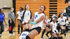 volleyball team celebrating on the court
