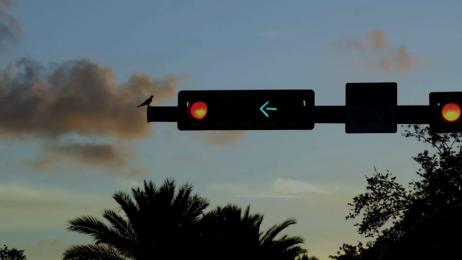 Photograph of traffic light